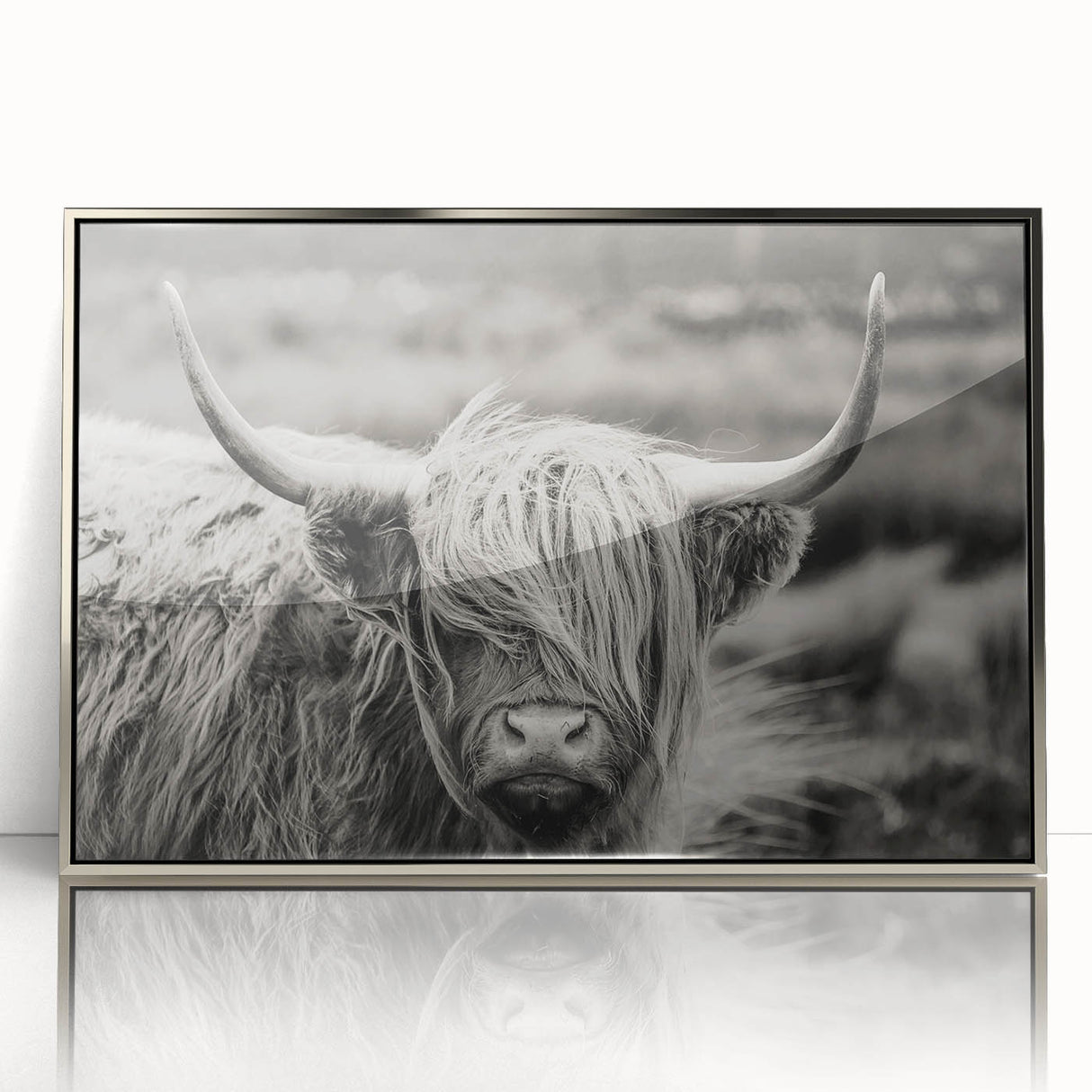 Framed acrylic wall art featuring a striking cow design from the 'Animals A Wild Life' collection, showcasing intricate details and a sleek silver frame.