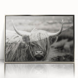 Framed acrylic wall art featuring a striking cow design from the 'Animals A Wild Life' collection, showcasing intricate details and a sleek silver frame.