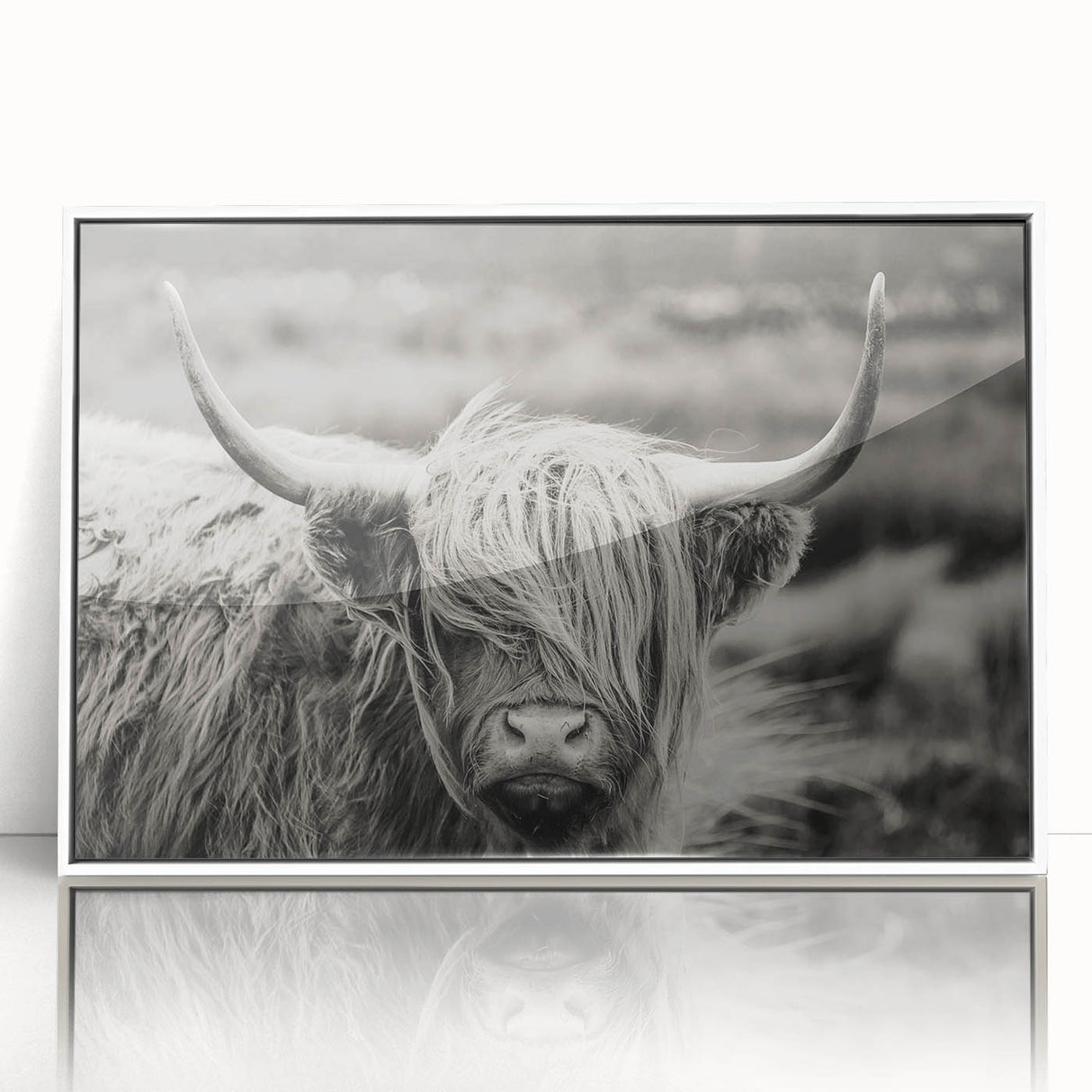 Framed acrylic wall art featuring a vibrant cow design, set against a white background, perfect for animal lovers and modern decor enthusiasts.