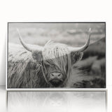 Framed acrylic wall art featuring a vibrant cow design, set against a white background, perfect for animal lovers and modern decor enthusiasts.