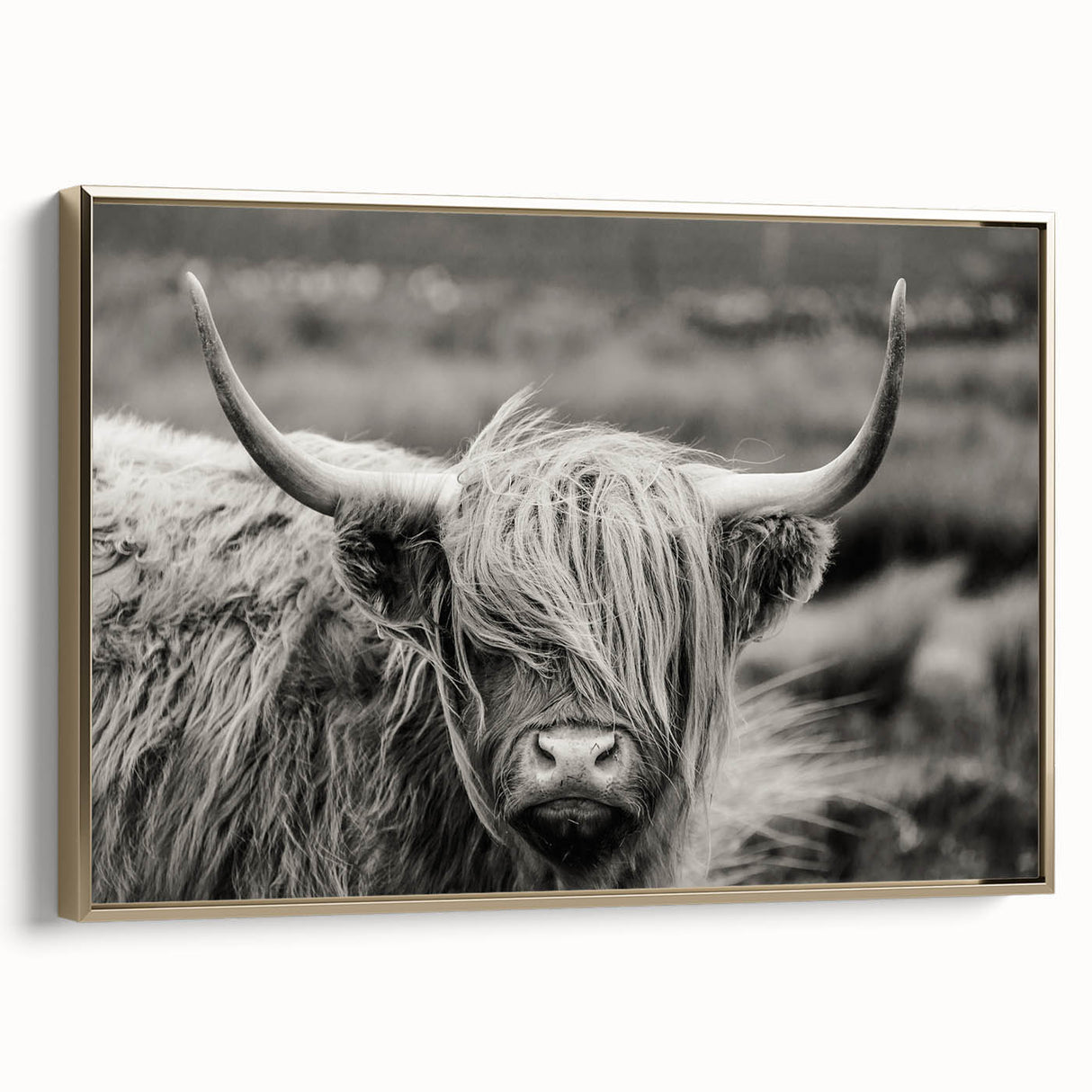 Framed wall art featuring a vibrant cow design in a wild-life theme, showcasing rich colors and intricate details, perfect for animal lovers and home decor.