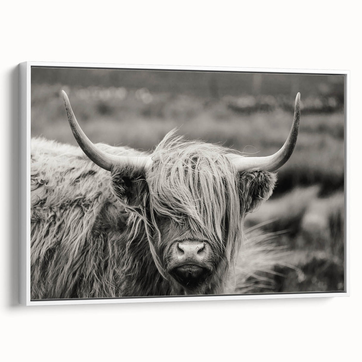 Framed canvas wall art depicting a side view of a cow, featuring a minimalist white design. Ideal for animal lovers and modern home decor.