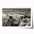 Black and white cow illustration art print showcasing intricate line work and textures, ideal for modern farmhouse decor or animal-themed interior design.