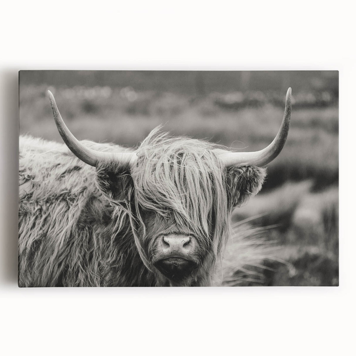 Stretched canvas wall art displaying a vibrant cow design in a colorful, abstract style, perfect for animal lovers and modern home decor.