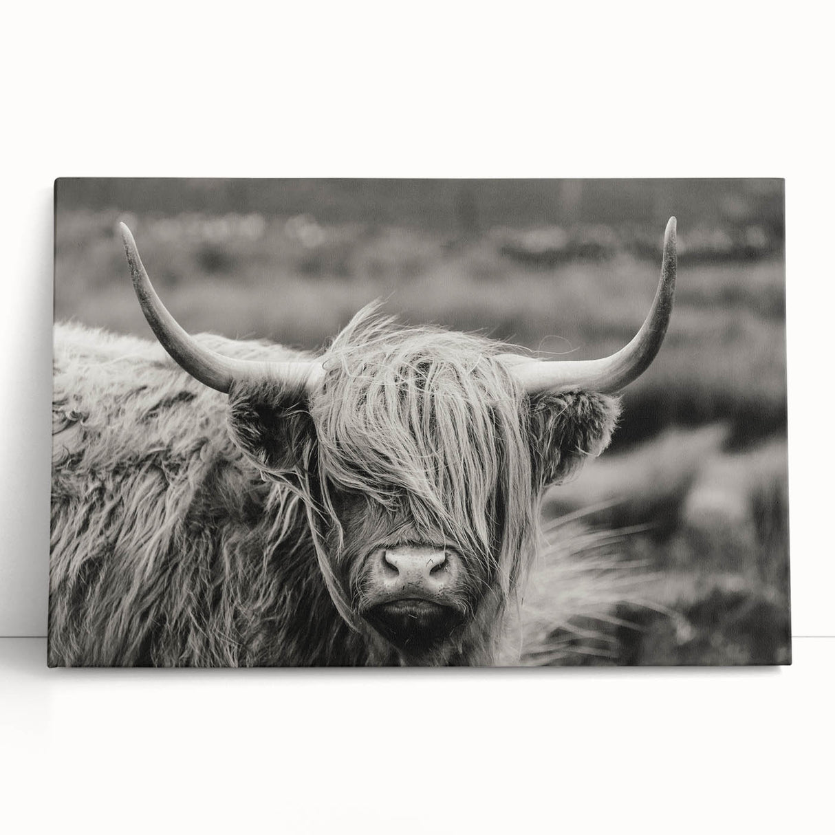 Stretched canvas wall art featuring a vibrant cow design, showcasing intricate details and colors, perfect for adding a rustic charm to home decor.