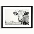 Black-framed wall art collection showcasing a cow design, featuring intricate details and a mat for added elegance. Ideal for animal lovers and rustic decor enthusiasts.
