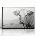 Framed wall art featuring a striking black acrylic design of a cow, showcasing intricate details and a modern aesthetic, ideal for animal lovers and home decor enthusiasts.