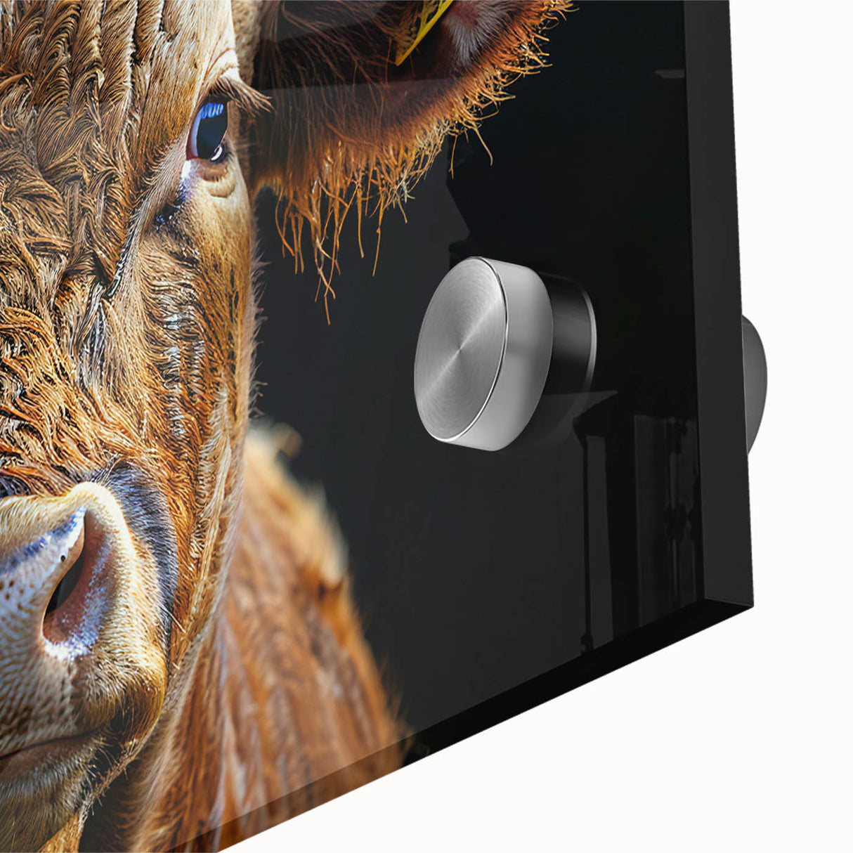 Close-up of a cow-themed wall art design on acrylic glass, showcasing vibrant colors and intricate details, perfect for adding a rustic touch to home decor.
