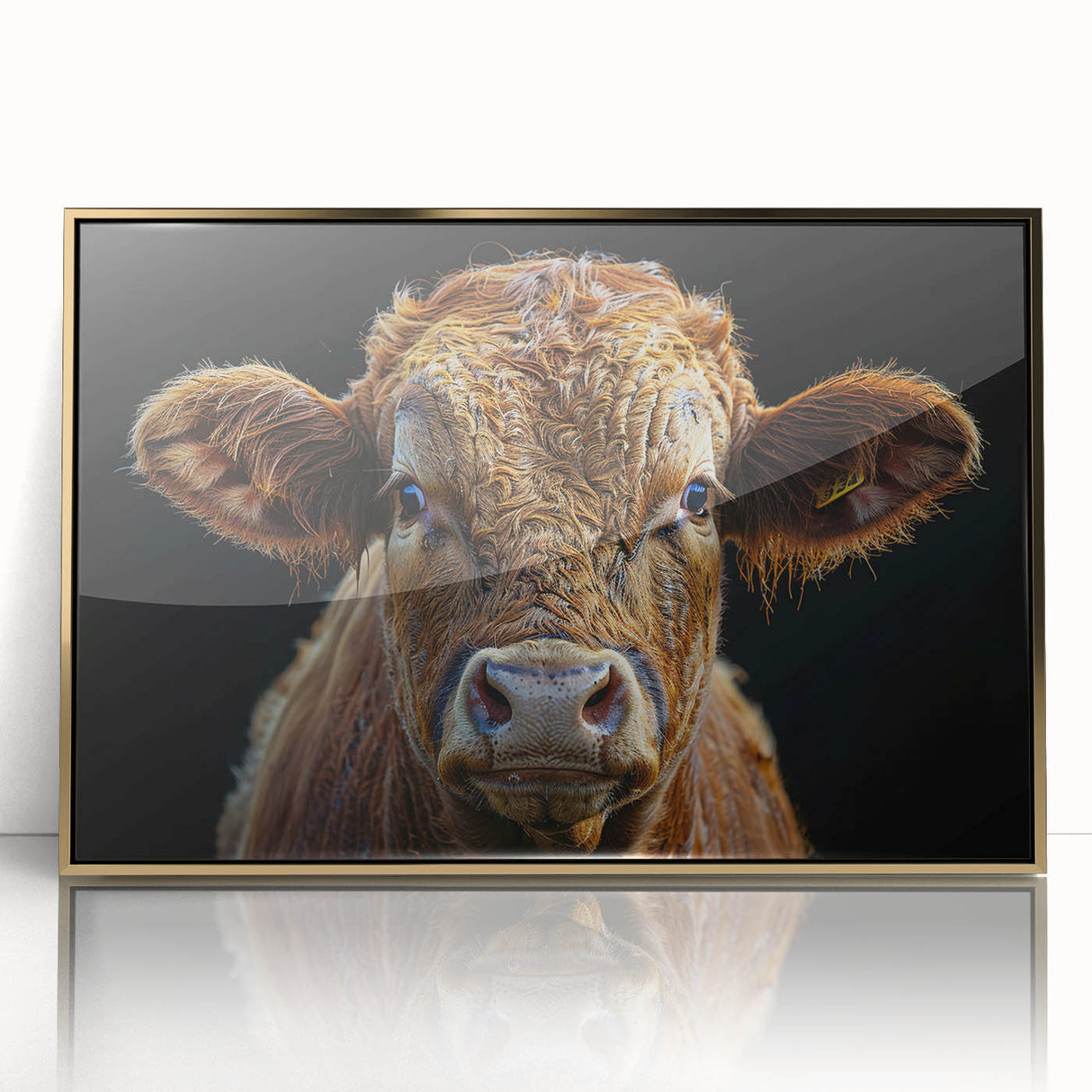 Framed acrylic wall art featuring a gold-accented cow design, showcasing vibrant colors and intricate details, perfect for enhancing modern decor.