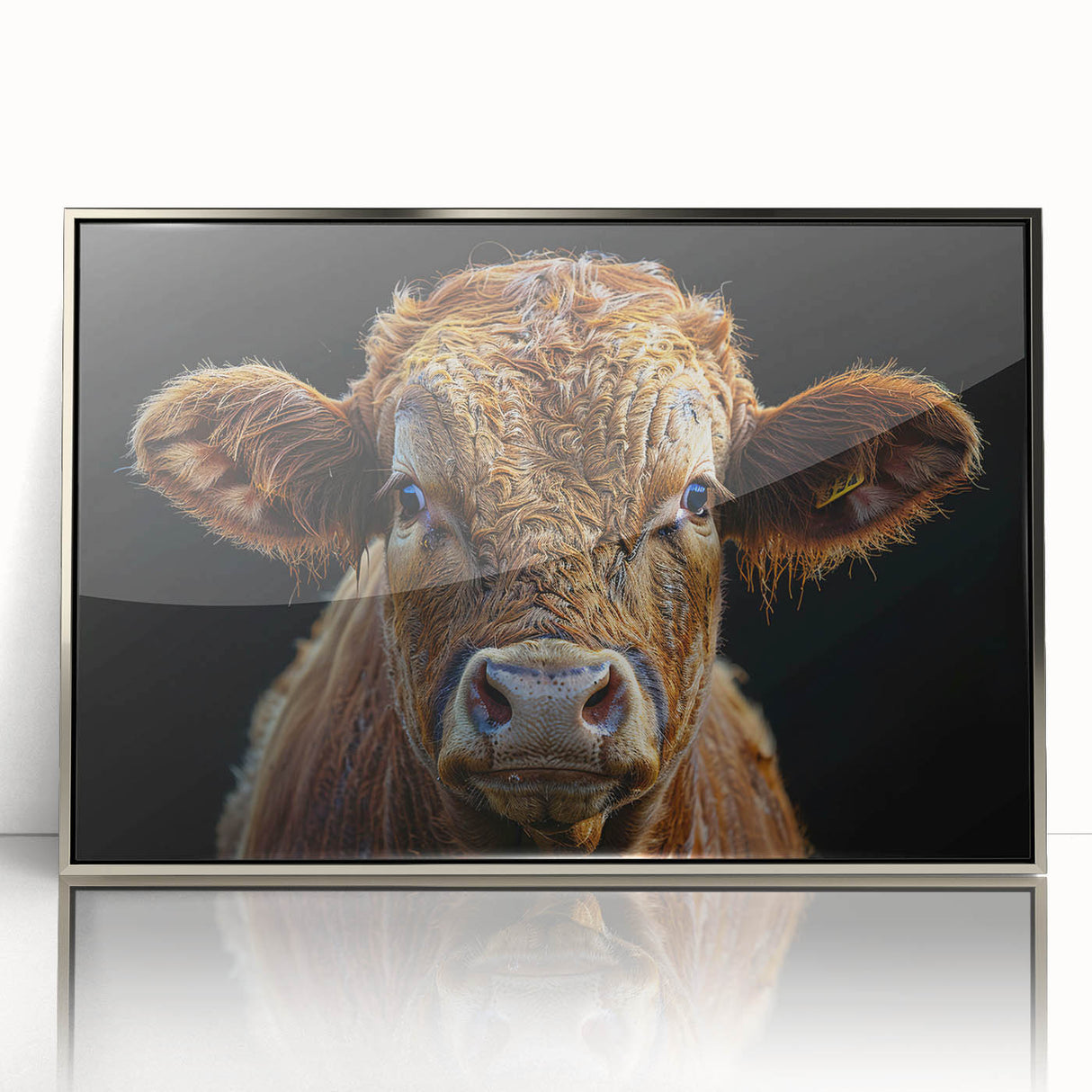 Framed acrylic wall art featuring a vibrant cow design in a silver frame, showcasing a modern wildlife theme perfect for animal lovers' decor.