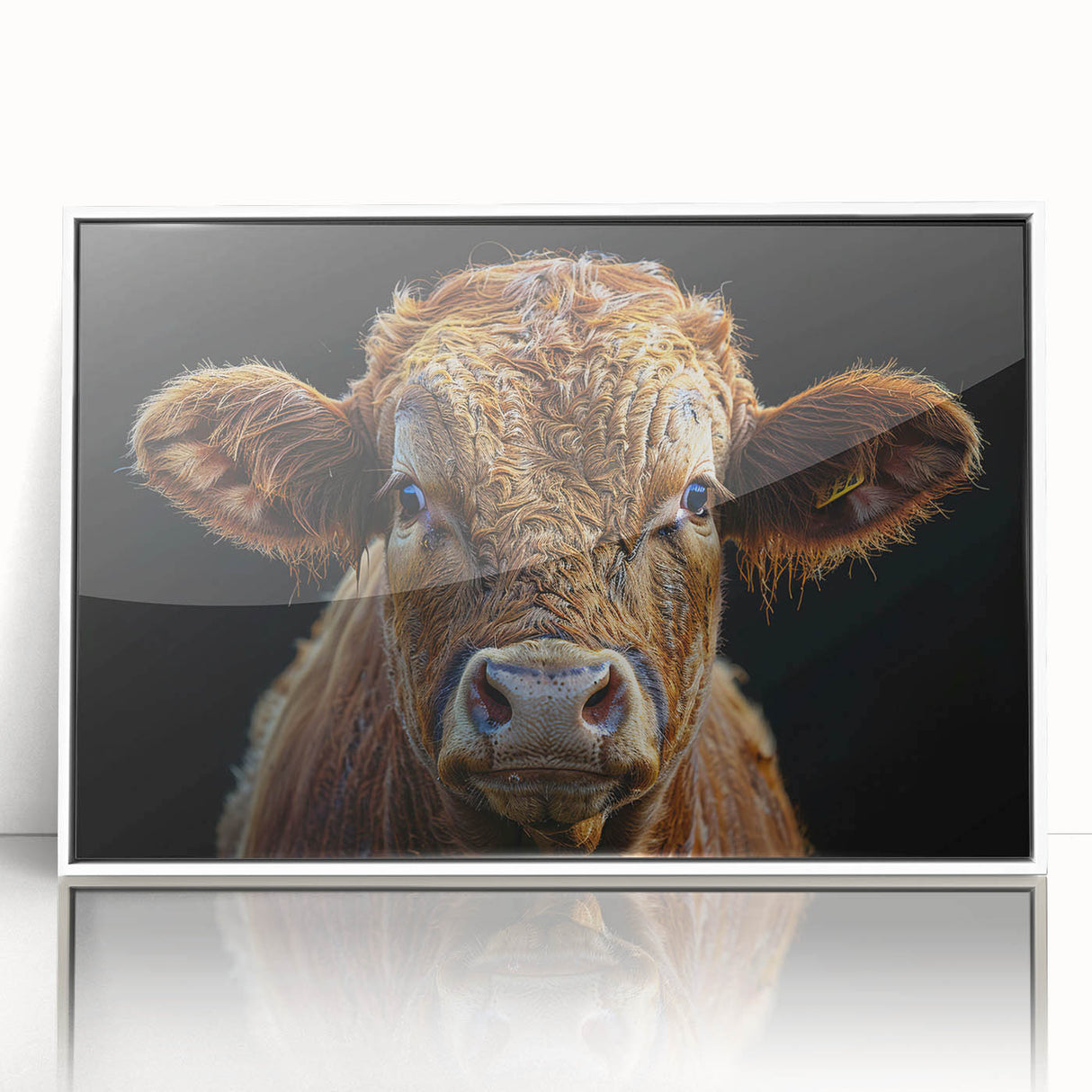 Framed acrylic wall art featuring a stylish cow design, set against a white background, ideal for modern home decor enthusiasts. Perfect for animal lovers.