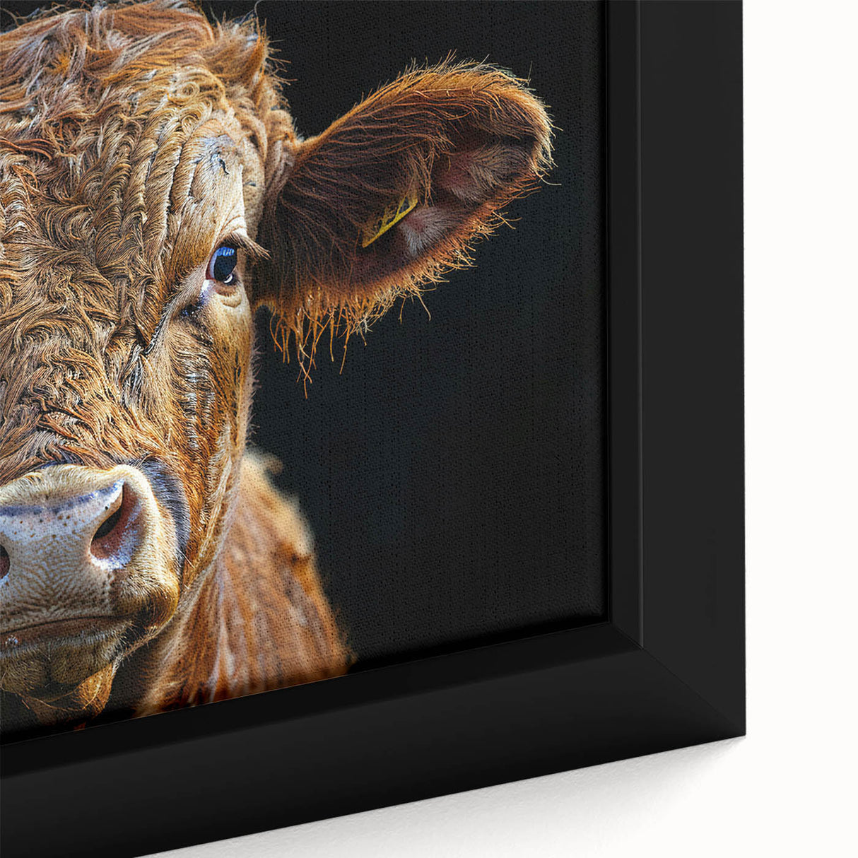 Close-up of a framed canvas wall art featuring a detailed cow design from the "Animals A Wild Life" collection, showcasing vibrant colors and intricate textures, perfect for animal lovers and home decor enthusiasts.