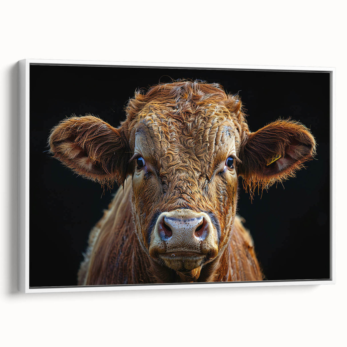 Framed canvas wall art featuring a striking cow design from the Animals A Wild Life collection, showcasing vibrant colors on a white background, perfect for animal lovers.