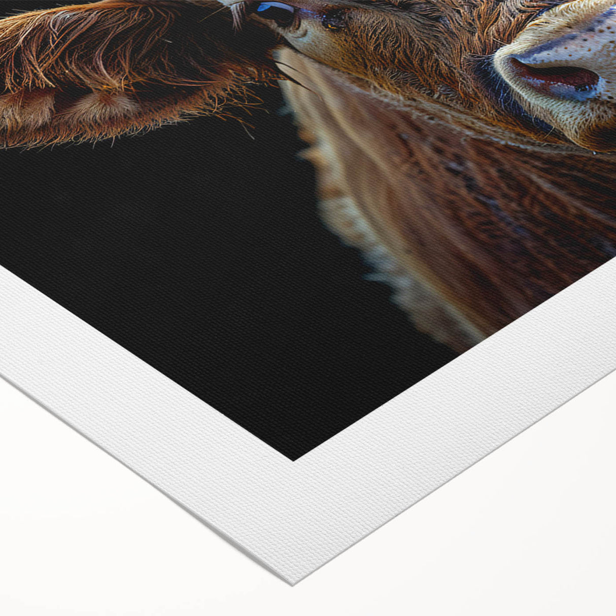 Rolled canvas wall art featuring a whimsical cow design in vibrant colors, ideal for rustic decor or animal-themed spaces, presented in a protective tube.