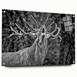 Side view of a deer wall art piece displayed in acrylic glass, showcasing intricate wildlife design with vivid colors and stylish pins for mounting. This artwork adds a touch of nature to any space, perfect for animal lovers and home decor enthusiasts.