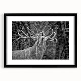 Framed wall art showcasing a majestic deer design, featuring a black mat and sleek frame, ideal for enhancing home decor with a touch of wildlife elegance.
