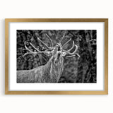 Framed wall art depicting a majestic deer design with a gold frame and mat, showcasing intricate details and natural colors, perfect for wildlife enthusiasts.