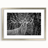 Framed wall art showcasing a majestic deer design in a silver frame with a mat, perfect for nature-themed decor, adding elegance to any space.