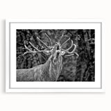 Framed wall art featuring a majestic deer design in a minimalist style, displayed with a white mat, enhancing a nature-themed decor for wildlife enthusiasts.