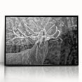 Framed wall art featuring a stunning black acrylic design of a deer in a wild setting, perfect for animal lovers and nature enthusiasts, showcasing elegant details and modern decor style.