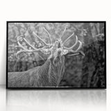 Framed wall art featuring a stunning black acrylic design of a deer in a wild setting, perfect for animal lovers and nature enthusiasts, showcasing elegant details and modern decor style.