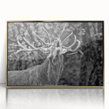 Framed wall art featuring a majestic deer design with intricate details, set in a gold-accented frame, ideal for nature-themed home decor.