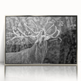Framed wall art featuring a majestic deer design with a silver acrylic front, showcasing intricate details and natural colors, perfect for wildlife decor enthusiasts.
