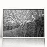 Framed wall art featuring a serene deer design set against a white background, showcasing intricate details and vibrant colors, perfect for nature lovers' decor.