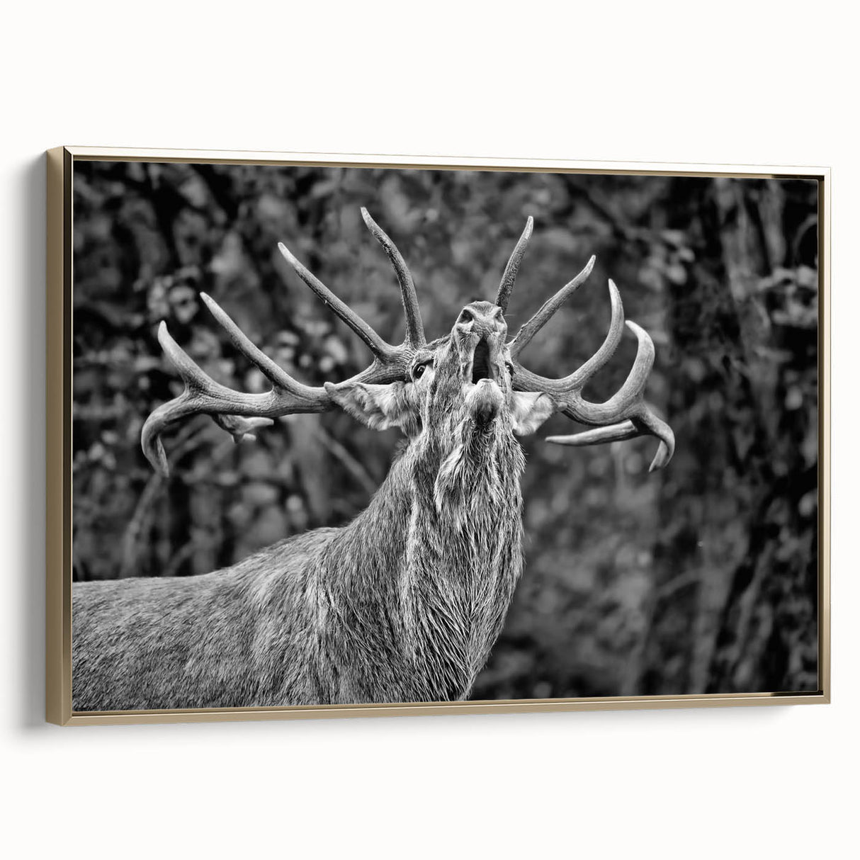 Framed wall art featuring a majestic deer design in a gold frame, showcasing intricate details and natural colors, perfect for enhancing home decor.