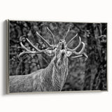 Framed wall art featuring a silver side view of a majestic deer in a natural setting, perfect for adding a touch of wildlife elegance to home decor.