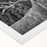 Rolled canvas artwork showcasing a serene deer design set against a soft, nature-inspired background, perfect for wildlife-themed home decor.