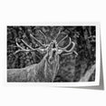 Close-up of a rolled canvas print showcasing a serene deer design, featuring intricate details and natural colors, ideal for wildlife-themed decor.