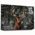 Side view of a deer-themed wall art piece, featuring an acrylic glass design with a pin mount display, perfect for nature lovers' home decor. The vibrant colors and intricate details enhance any living space, showcasing wildlife artistry.
