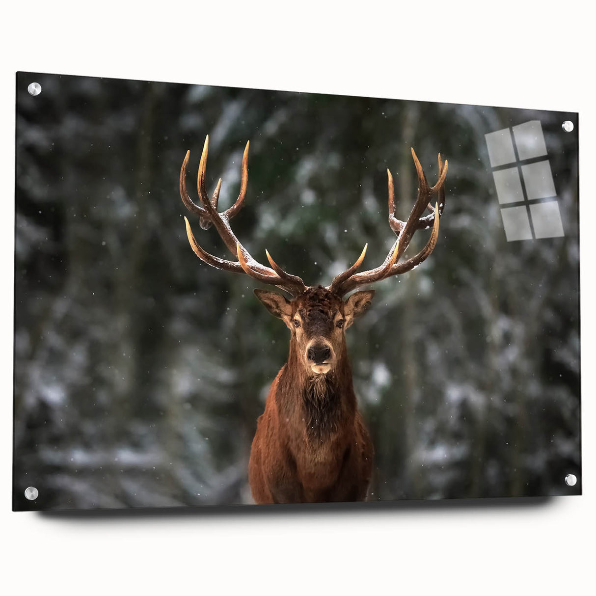 Side view of a deer-themed wall art piece, featuring an acrylic glass design with a pin mount display, perfect for nature lovers' home decor. The vibrant colors and intricate details enhance any living space, showcasing wildlife artistry.