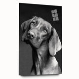 Acrylic glass wall art showcasing a vibrant wild dog design, featuring rich colors and intricate details, displayed from a side view, ideal for enhancing modern decor.