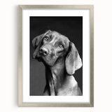 Framed wall art featuring a striking design of wild dogs, set within a sleek silver frame with a mat. The artwork showcases vibrant colors and intricate details, perfect for animal lovers and home decor enthusiasts. Ideal for adding a touch of nature to any room.