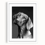 Framed wall art featuring a striking dog design from the "Animals A Wild Life" collection, showcasing vibrant colors and a modern white mat, perfect for home decor.