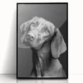 Framed wall art featuring a vibrant design of various wild dogs, showcased in a sleek black frame with acrylic glass front, perfect for home decor enthusiasts.