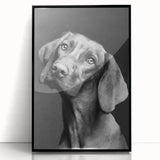 Framed wall art featuring a vibrant design of various wild dogs, showcased in a sleek black frame with acrylic glass front, perfect for home decor enthusiasts.