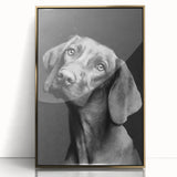 Framed acrylic wall art featuring a vibrant design of wild dogs, set against a gold background. The artwork showcases detailed textures and colors, ideal for animal lovers and home decor enthusiasts. Perfect for adding a touch of nature-inspired elegance to any space.