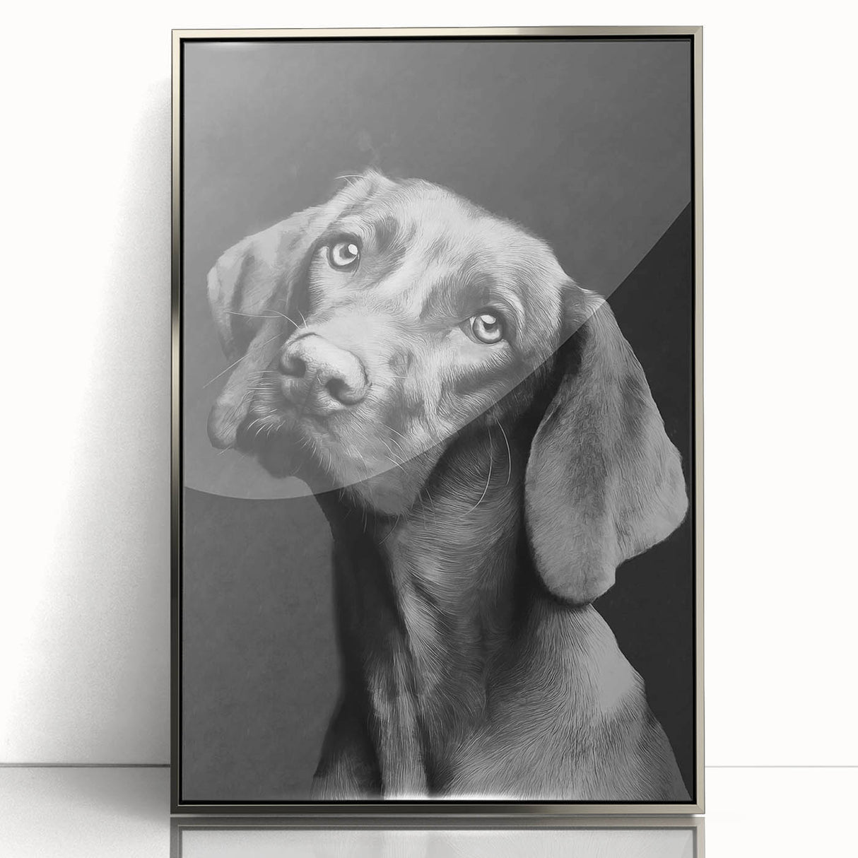 Framed acrylic wall art featuring a vibrant dog design from the Animals A Wild Life collection, showcasing intricate details and a sleek silver frame, perfect for modern decor.
