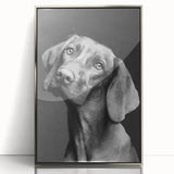 Framed acrylic wall art featuring a vibrant dog design from the Animals A Wild Life collection, showcasing intricate details and a sleek silver frame, perfect for modern decor.