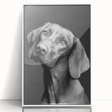 Framed wall art featuring a vibrant design of various dog breeds against a white background, showcasing unique styles and details in a contemporary setting.