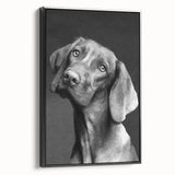 Framed wall art showcasing a vibrant dog design on textured canvas, featuring a sleek black frame and side view for an elegant display in modern decor.
