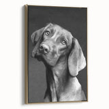 Framed canvas wall art showcasing a vibrant dog design from the "Animals of the Wild" collection, featuring a gold frame that enhances its aesthetic appeal, ideal for pet lovers and modern decor.