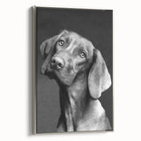 Framed canvas wall art showcasing a sleek silver design featuring playful dogs in a vibrant wild life theme, ideal for pet lovers and home decor.