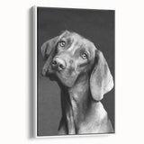 Framed canvas wall art featuring a whimsical dog design with vibrant colors, showcasing a playful and modern aesthetic, perfect for animal lovers' home decor.