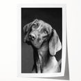 Vibrant rolled wall art print showcasing a colorful design of various dog breeds in a whimsical, artistic style, perfect for animal lovers’ home decor.