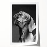 Vibrant rolled wall art print showcasing a colorful design of various dog breeds in a whimsical, artistic style, perfect for animal lovers’ home decor.