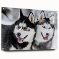 Acrylic wall art collection showcasing a vibrant dogs design, viewed from the side, pinned to a wall with clean, modern lines and vivid colors, perfect for animal lovers.